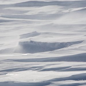 img_0208